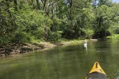 IMG-20250617-WA0013