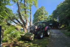 IMG-20250628-WA0009