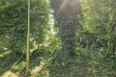 IMG-20250628-WA0010