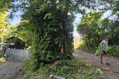IMG-20250628-WA0011