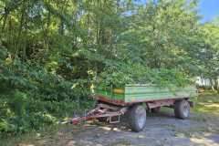IMG-20250628-WA0012