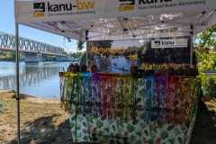 IMG-20250629-WA0021
