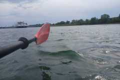IMG-20250723-WA0002