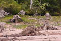 IMG-20251003-WA0010