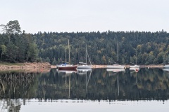 PXL_20251003_091553576