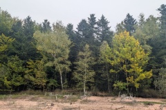 PXL_20251003_095136422