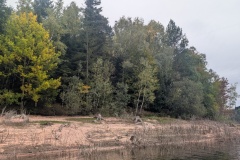 PXL_20251003_095138241