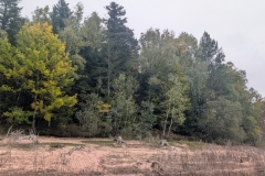 PXL_20251003_095140106