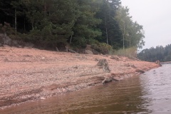 PXL_20251003_095420827