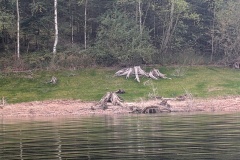 PXL_20251003_095946391