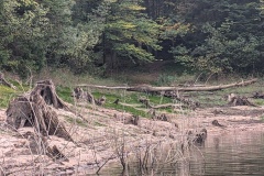 PXL_20251003_095949102