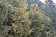 PXL_20251003_095956486