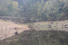 PXL_20251003_102100522