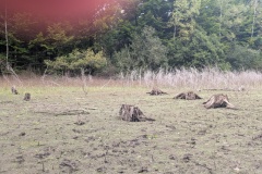 PXL_20251003_102243082