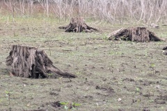 PXL_20251003_102306711.PORTRAIT