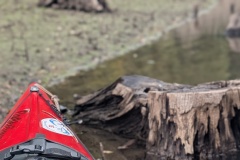 PXL_20251003_102310234.PORTRAIT