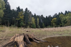 PXL_20251003_103634313