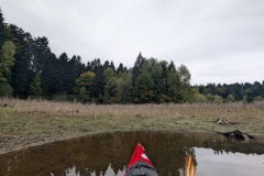 PXL_20251003_103636506