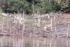 PXL_20251003_122215469