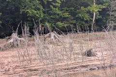 PXL_20251003_122457977