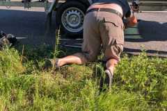 IMG-20250621-WA0025