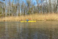 IMG-20260329-WA0003