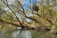 IMG-20260329-WA0008