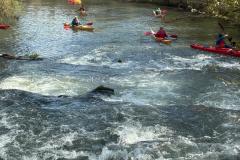 IMG-20260329-WA0022