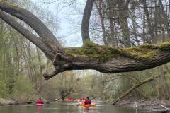 IMG-20260329-WA0025