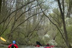 IMG-20260329-WA0026