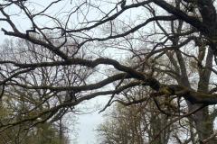 IMG-20260329-WA0027