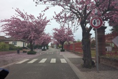 20260412_Bruche