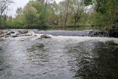 PXL_20260412_112538012