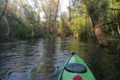 IMG-20260630-WA0007
