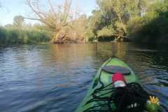 IMG-20260630-WA0008