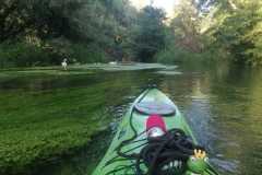 IMG-20260630-WA0012