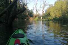 IMG-20260630-WA0013