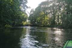 IMG-20260630-WA0014