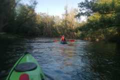 IMG-20260630-WA0018