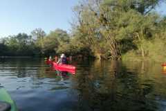 IMG-20260630-WA0019