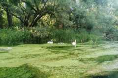 IMG-20260630-WA0020