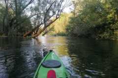 IMG-20260630-WA0021