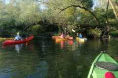 IMG-20260630-WA0024
