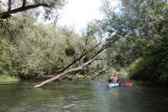 IMG-20260713-WA0057