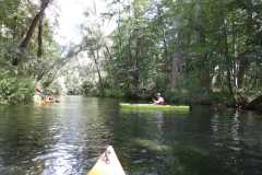 IMG-20260713-WA0092