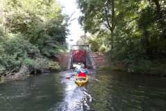 IMG-20260717-WA0047