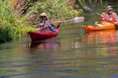 IMG-20260720-WA0036