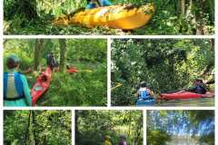 IMG-20260720-WA0074