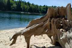 IMG-20260724-WA0012