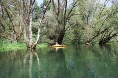 IMG-20260727-WA0002